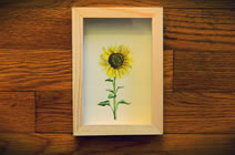 Day 3: Sunflowers