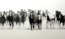 Piece #119 (Silence)