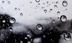 Piece #84 (Distilled)