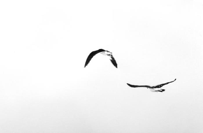 Piece #W001 (Two Birds) 