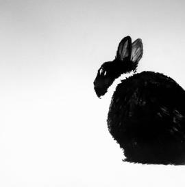 Piece #W009 (Rabbit)